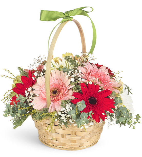 AĞVA ÇİÇEK SEPETİ GERBERA AŞKI